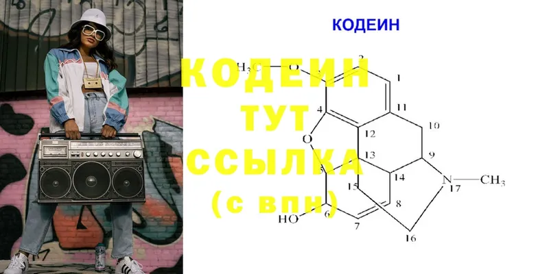 закладки  Лермонтов  Кодеиновый сироп Lean напиток Lean (лин) 